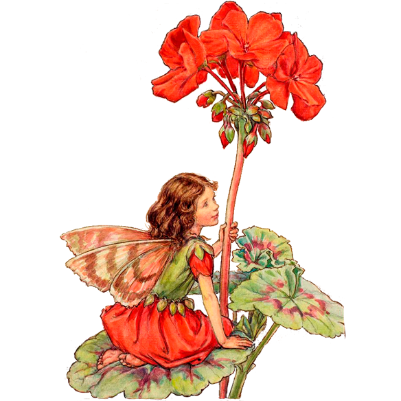Geranium fairy link to Proud Of page